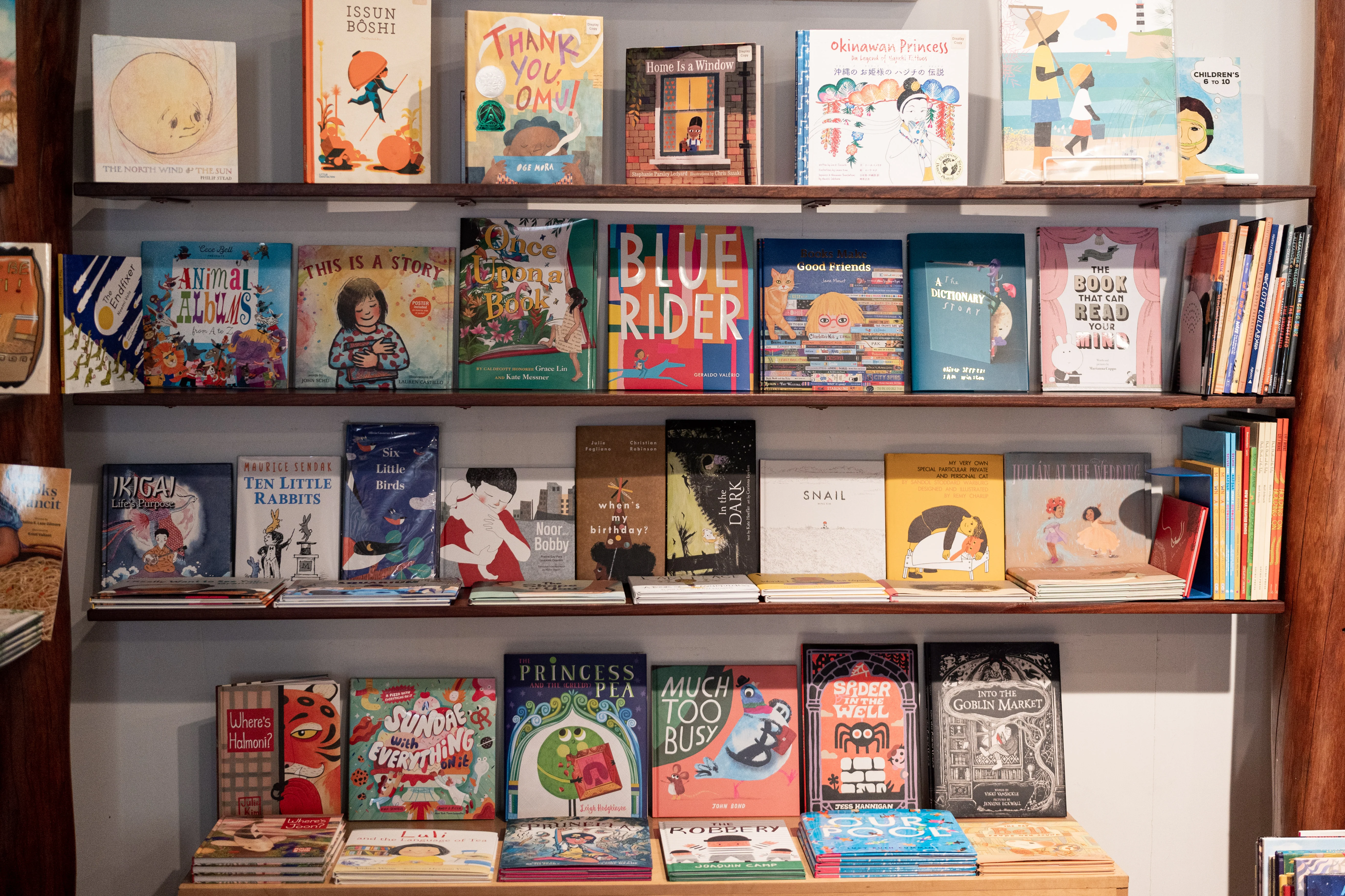 Rare Finds for Curious Minds